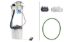 Picture of Hella Fuel Pump and Sender Assembly - 358301331