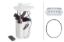 Picture of Hella Fuel Pump and Sender Assembly - 358301541