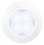 Picture of Hella Courtesy Light - 980500041