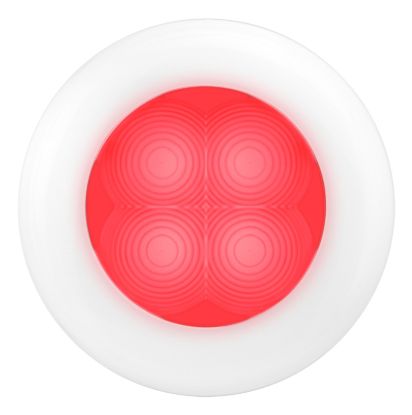 Picture of Hella Courtesy Light - 980507241