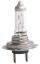 Picture of Hella Multi-Purpose Light Bulb - H7 24V DP