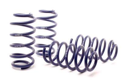 Picture of H&R Special Springs LP Coil Spring Lowering Kit - 29795-1