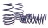 Picture of H&R Special Springs LP Coil Spring Lowering Kit - 29991-1