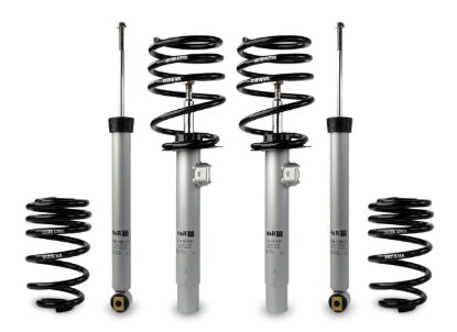 Picture of H&R Special Springs LP Coil Spring Lowering Kit / Shock Absorber Kit - 31019-1