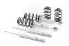 Picture of H&R Special Springs LP Coil Spring Lowering Kit / Shock Absorber Kit - 31051-1