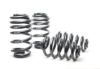 Picture of H&R Special Springs LP Coil Spring Lowering Kit - 50300
