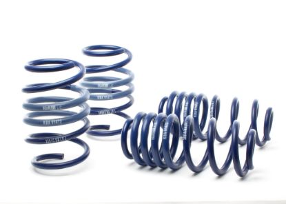 Picture of H&R Special Springs LP Coil Spring Lowering Kit - 50343-77