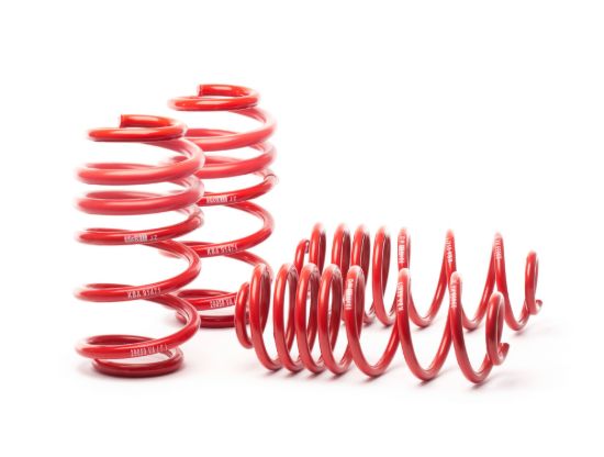 Picture of H&R Special Springs LP Coil Spring Lowering Kit - 50361-77