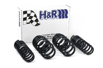 Picture of H&R Special Springs LP Coil Spring Lowering Kit - 50396