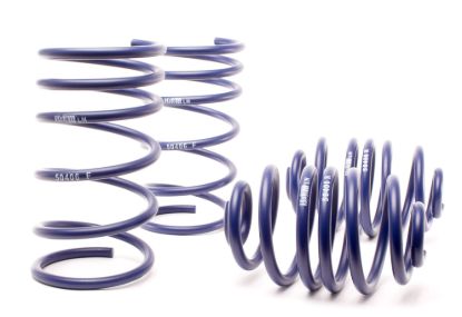 Picture of H&R Special Springs LP Coil Spring Lowering Kit - 50406