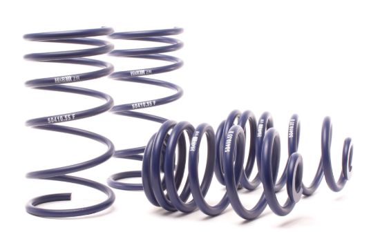 Picture of H&R Special Springs LP Coil Spring Lowering Kit - 50410-55