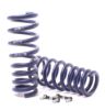 Picture of H&R Special Springs LP Coil Spring Lowering Kit - 50435-4
