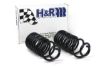 Picture of H&R Special Springs LP Coil Spring Lowering Kit - 50715