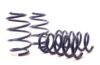 Picture of H&R Special Springs LP Coil Spring Lowering Kit - 50760