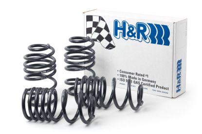 Picture of H&R Special Springs LP Coil Spring Lowering Kit - 50778