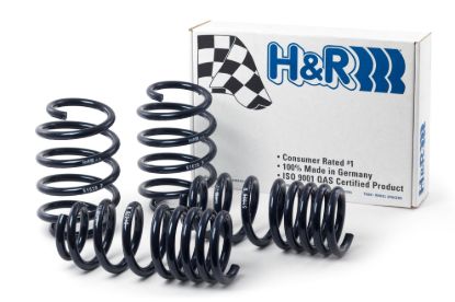 Picture of H&R Special Springs LP Coil Spring Lowering Kit - 51626