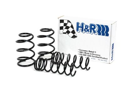 Picture of H&R Special Springs LP Coil Spring Lowering Kit - 51643