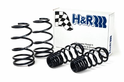 Picture of H&R Special Springs LP Coil Spring Lowering Kit - 51655