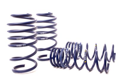 Picture of H&R Special Springs LP Coil Spring Lowering Kit - 51664-2