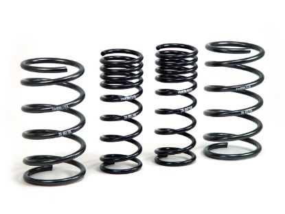 Picture of H&R Special Springs LP Coil Spring Lowering Kit - 51665