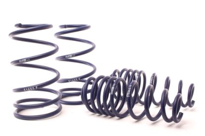 Picture of H&R Special Springs LP Coil Spring Lowering Kit - 51690