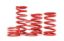 Picture of H&R Special Springs LP Coil Spring - R25080350