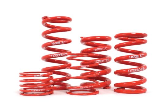 Picture of H&R Special Springs LP Coil Spring - R25120450