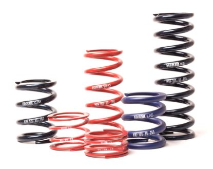 Picture of H&R Special Springs LP Coil Spring - RF100140