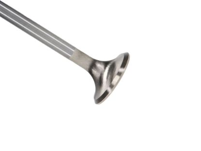 Picture of Manley Engine Exhaust Valve - 11615B-1