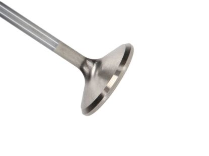 Picture of Manley Engine Exhaust Valve - 11631-1