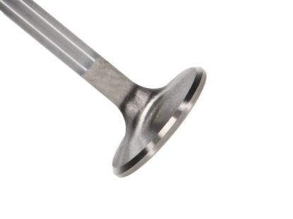 Picture of Manley Engine Exhaust Valve - 11655B-1
