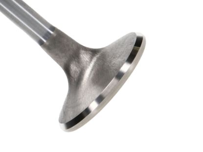 Picture of Manley Engine Exhaust Valve - 11729B-1