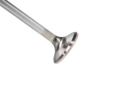 Picture of Manley Engine Exhaust Valve - 11885-8