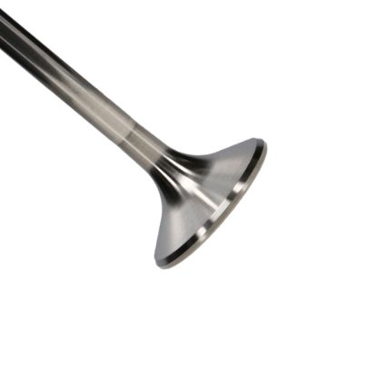 Picture of Manley Engine Exhaust Valve - 12209TB-1