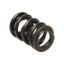 Picture of Manley Engine Valve Spring - 22120-1