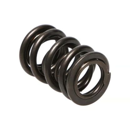 Picture of Manley Engine Valve Spring Kit - 22120-16