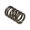 Picture of Manley Engine Valve Spring - 22125-1