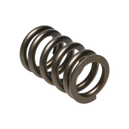 Picture of Manley Engine Valve Spring Kit - 22125-16