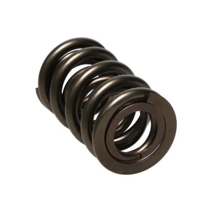 Picture of Manley Engine Valve Spring Kit - 221425-16