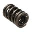 Picture of Manley Engine Valve Spring Kit - 221432-16