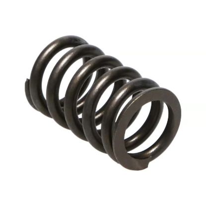 Picture of Manley Engine Valve Spring Kit - 22145-16