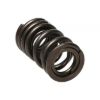 Picture of Manley Engine Valve Spring - 22150-1