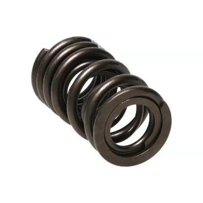 Picture of Manley Engine Valve Spring Kit - 22150-16