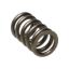 Picture of Manley Engine Valve Spring - 22155-24