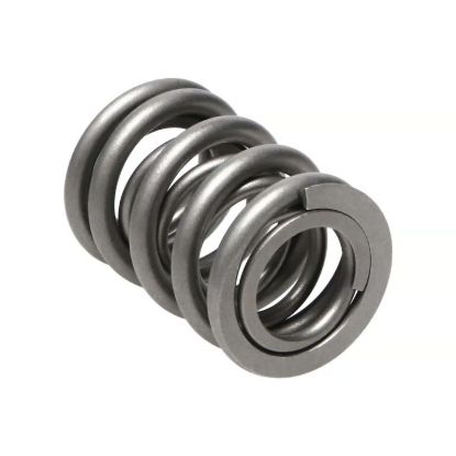 Picture of Manley Engine Valve Spring Kit - 22160-16