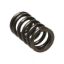 Picture of Manley Engine Valve Spring - 22165-1