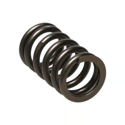 Picture of Manley Engine Valve Spring Kit - 22165-16