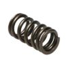 Picture of Manley Engine Valve Spring - 22170-24