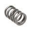 Picture of Manley Engine Valve Spring Kit - 22180-16