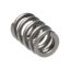 Picture of Manley Engine Valve Spring - 22185-1